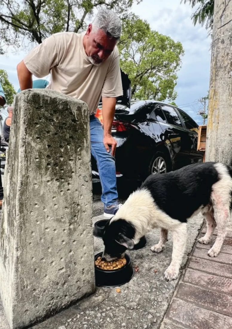 Luciano Guerreiro cuidando de um cão na rua